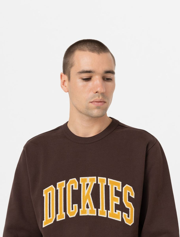 Dickies Aitkin sweatshirt java - Shop-Tetuan