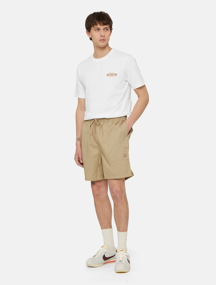 Dickies Pelican Rapids shorts desert sand - Shop-Tetuan