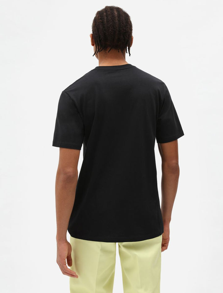 Dickies Mepleton tee black - Shop-Tetuan