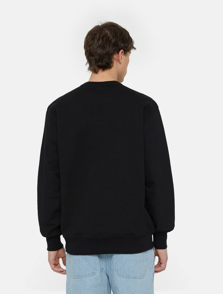 Dickies Aitkin Sweatshirt black/coronet blue - Shop-Tetuan