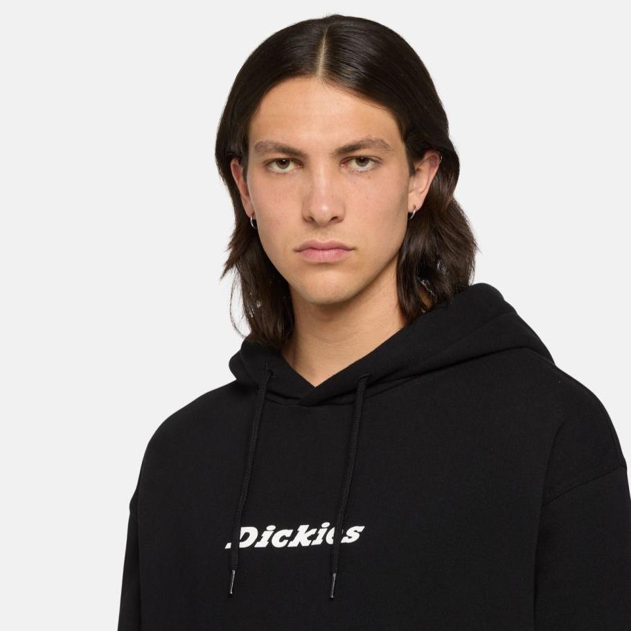 Dickies Enterprise hoodie black