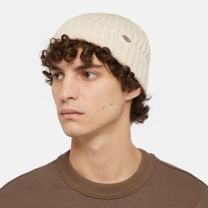 Dickies Lockwood Beanie Hat whitecap grey