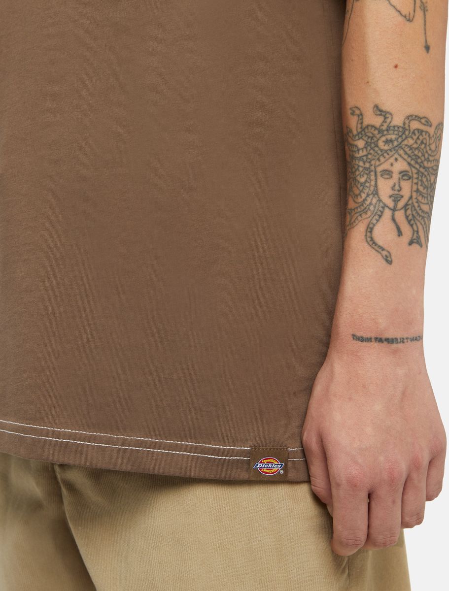 Dickies Philipsburg tee brown