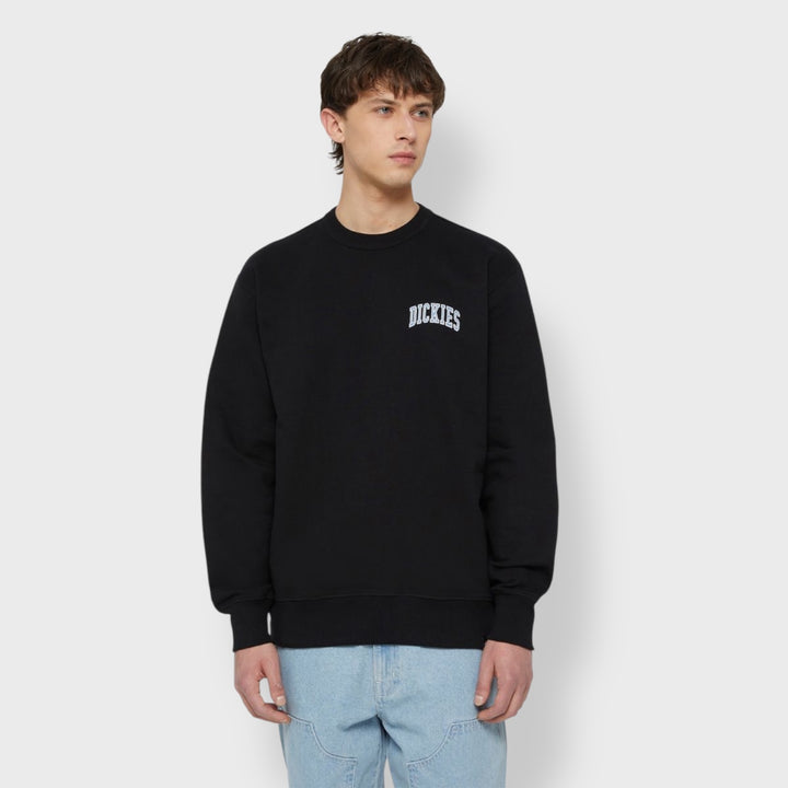 Dickies Aitkin Sweatshirt black/coronet blue