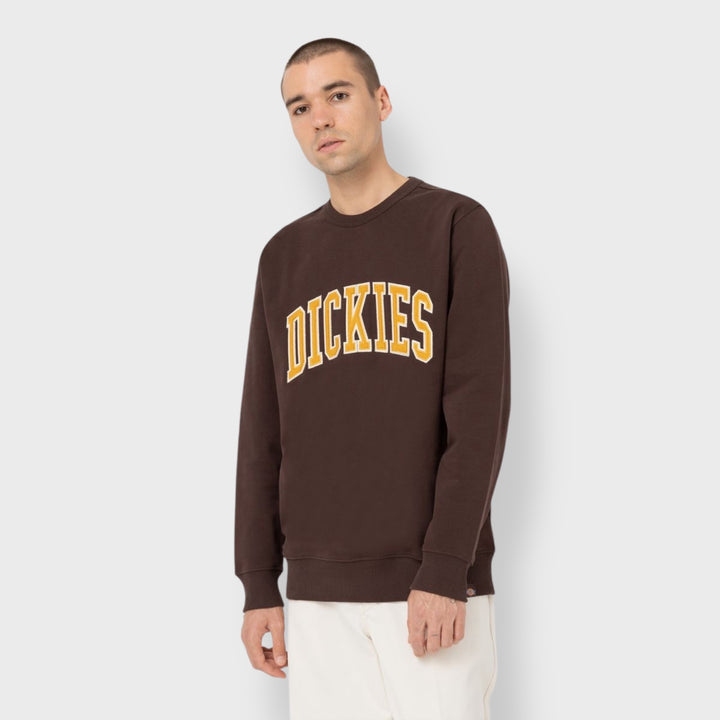 Dickies Aitkin sweatshirt java