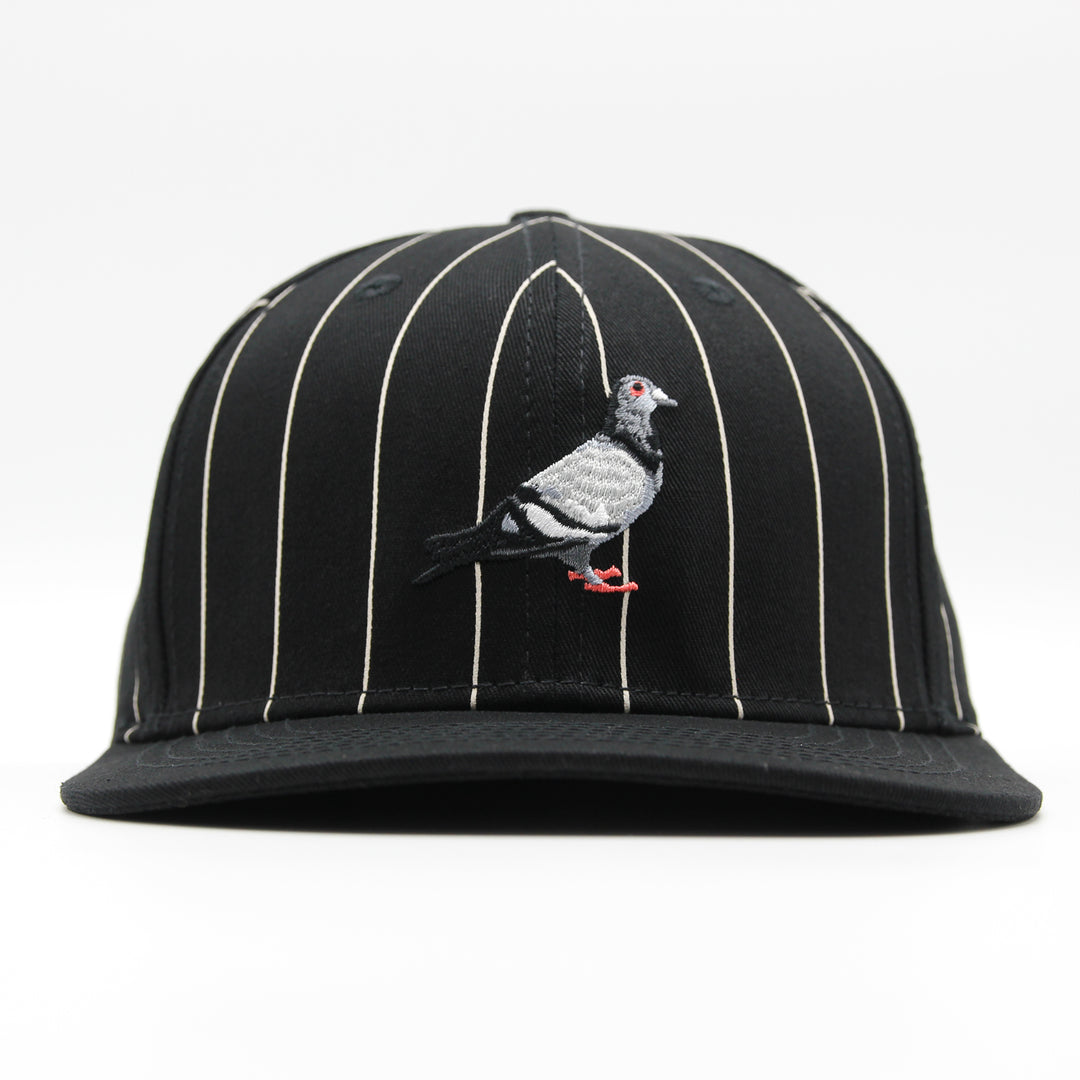 Staple Pinstripe Pigeon snapback black - Shop-Tetuan