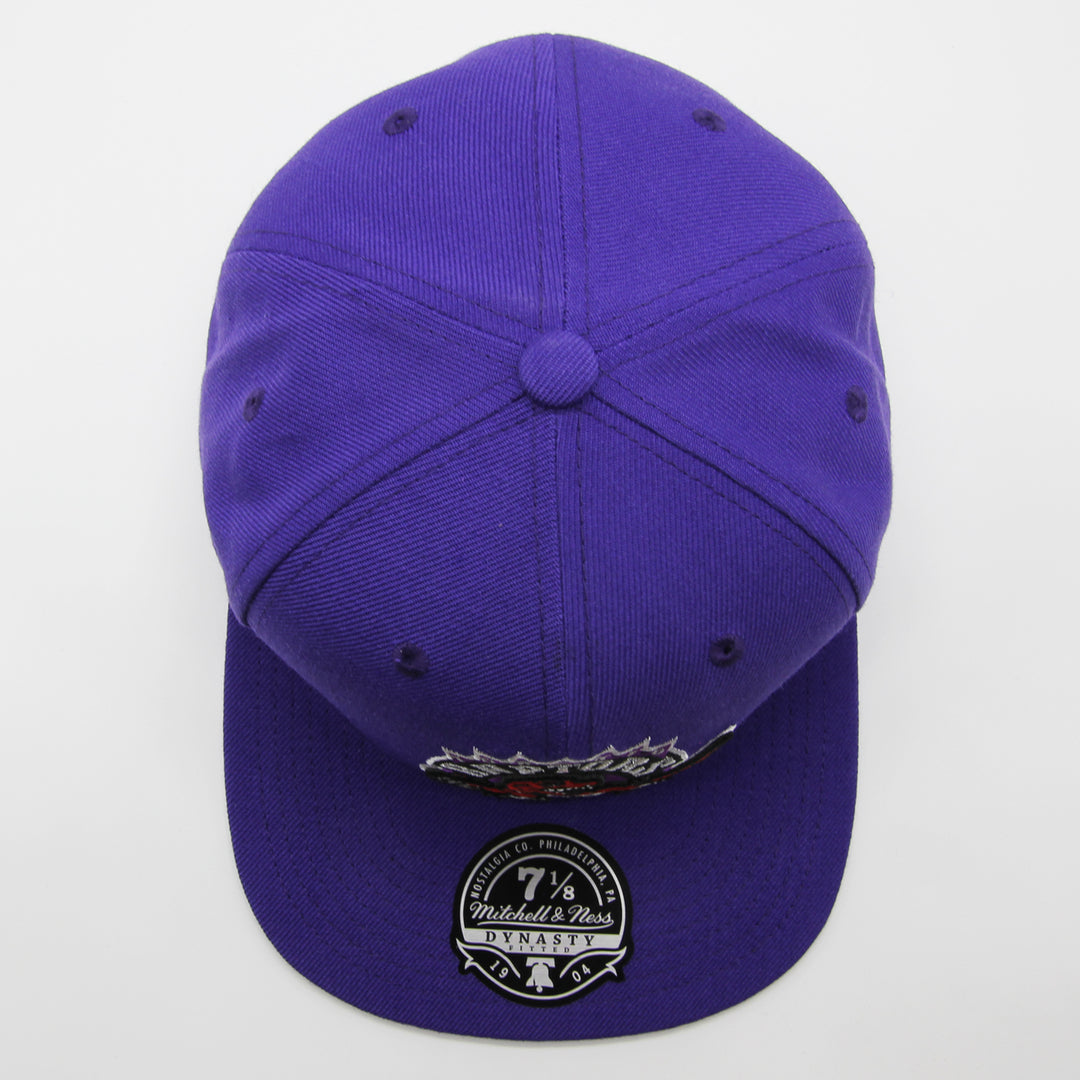 Mitchell & Ness Team Ground 2.0 fitted HWC T Raptors purple - Shop-Tetuan