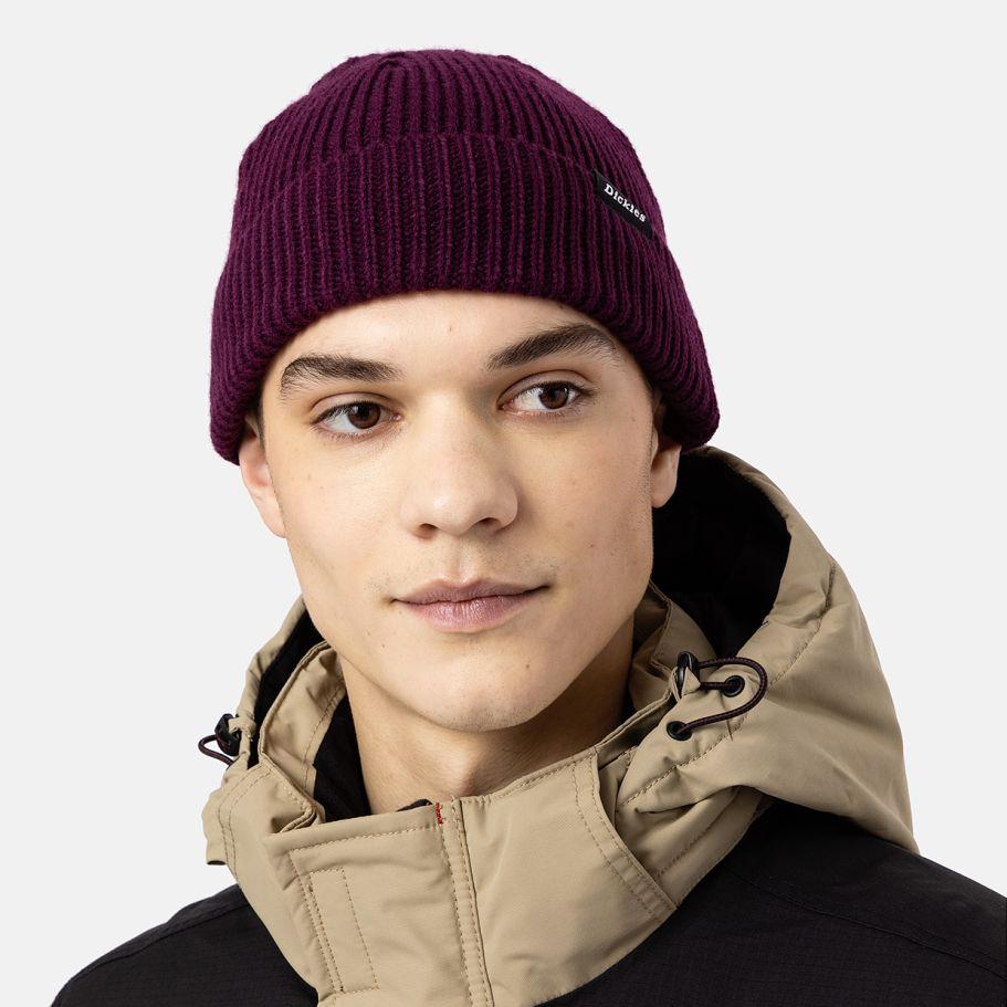 Dickies Woodworth beanie grape wine - Shop-Tetuan