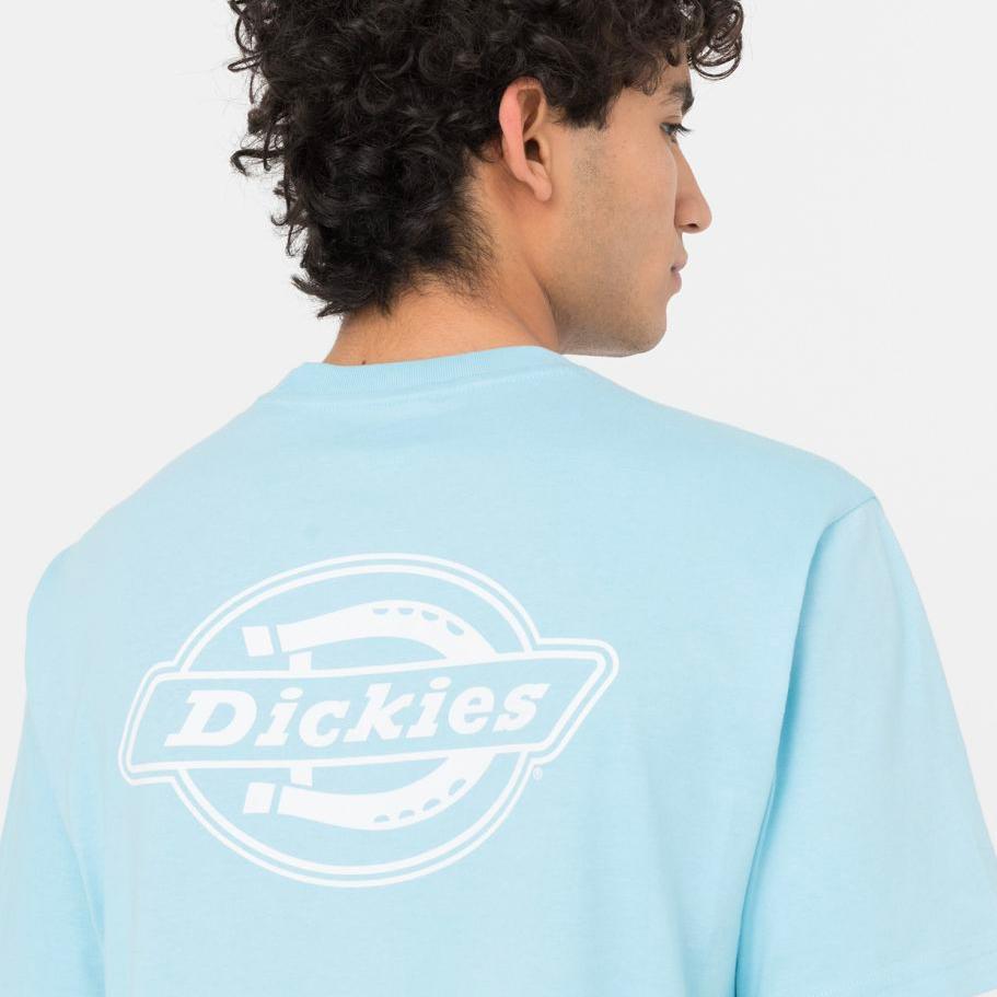 Dickies Holtville tee SS sky blue - Shop-Tetuan