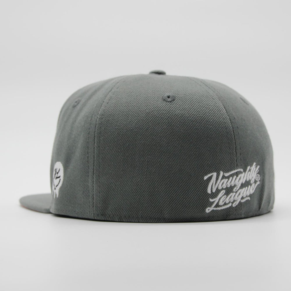 Naughty League Houston Horndogs Text Logo fitted grey - Shop-Tetuan