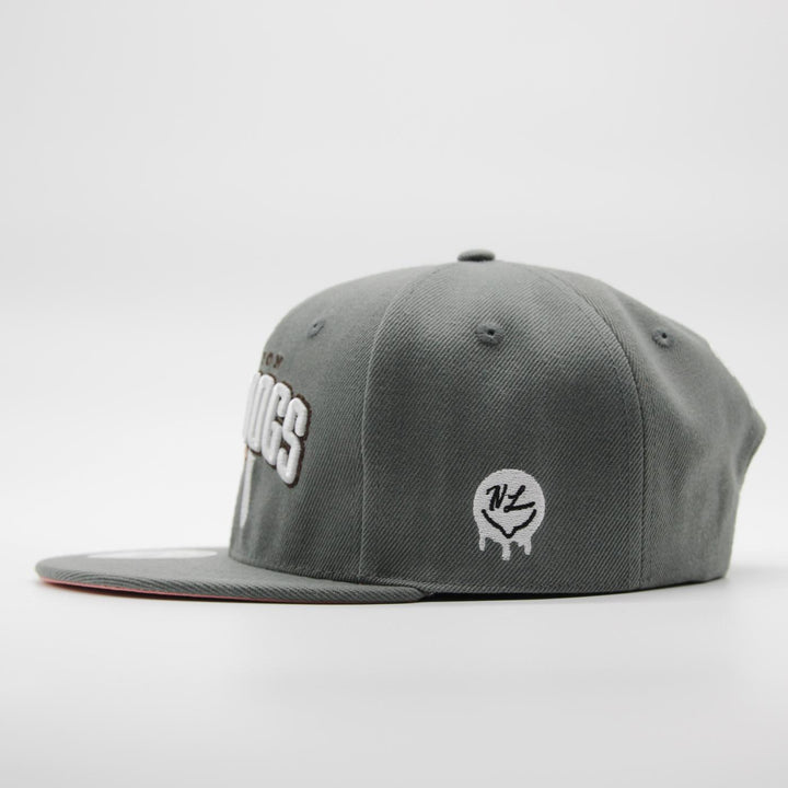 Naughty League Houston Horndogs Text Logo snapback grey - Shop-Tetuan