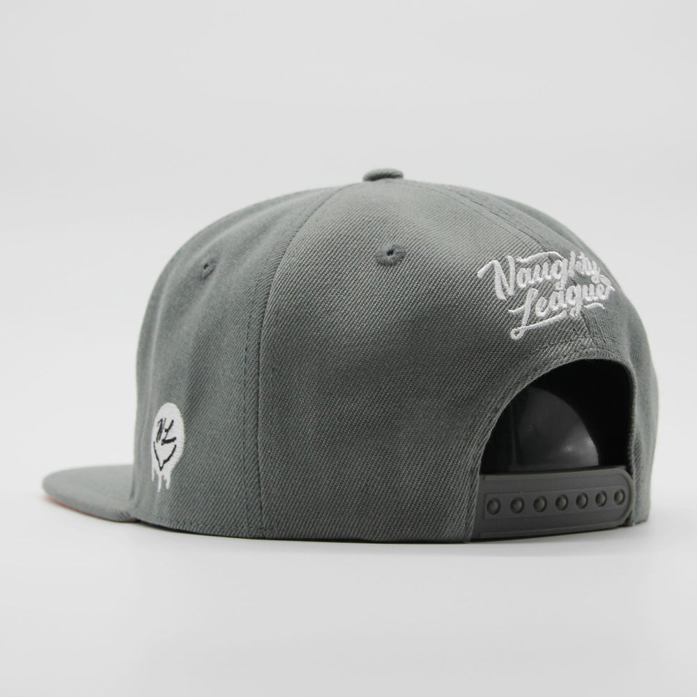 Naughty League Houston Horndogs Text Logo snapback grey - Shop-Tetuan