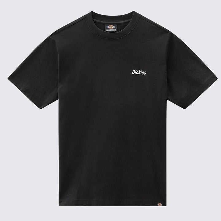 Dickies Bettles tee ss black - Shop-Tetuan