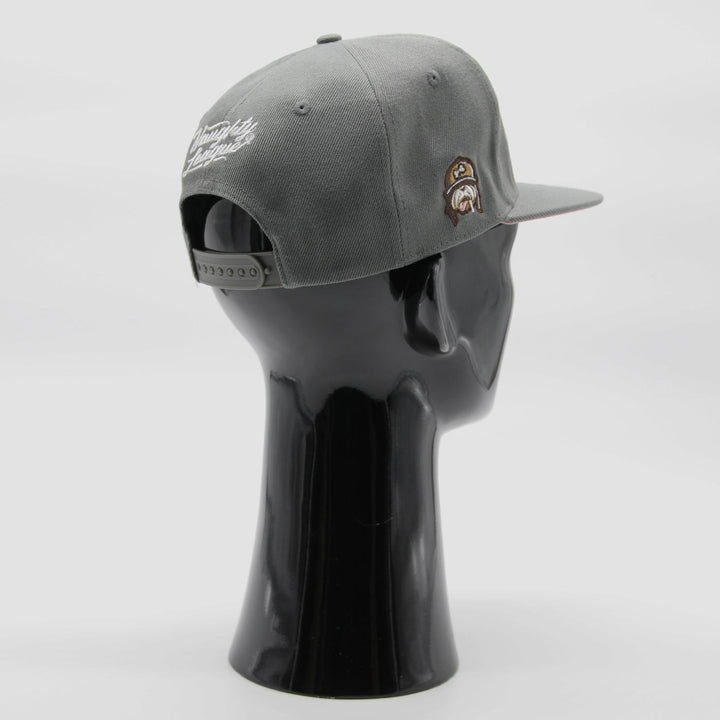 Naughty League Houston Horndogs Text Logo snapback grey - Shop-Tetuan