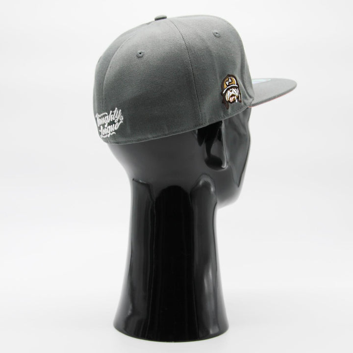 Naughty League Houston Horndogs Text Logo fitted grey - Shop-Tetuan