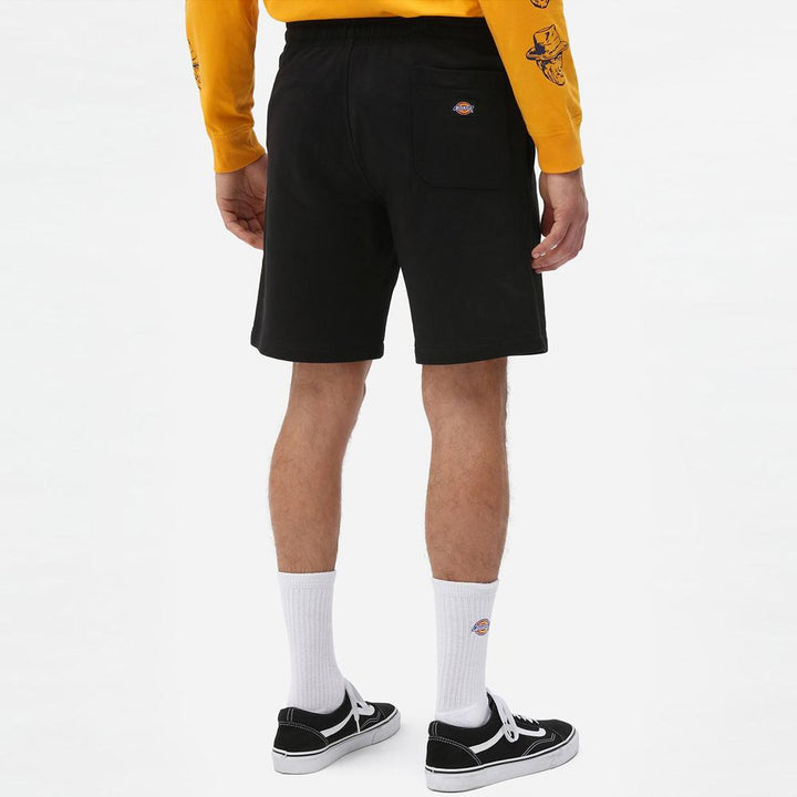 Dickies Champlin shorts black - Shop-Tetuan