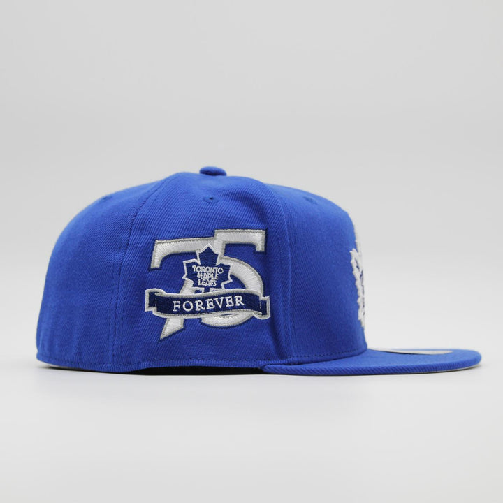 Mitchell & Ness NHL Vintage Fitted T Maple Leafs blue - Shop-Tetuan