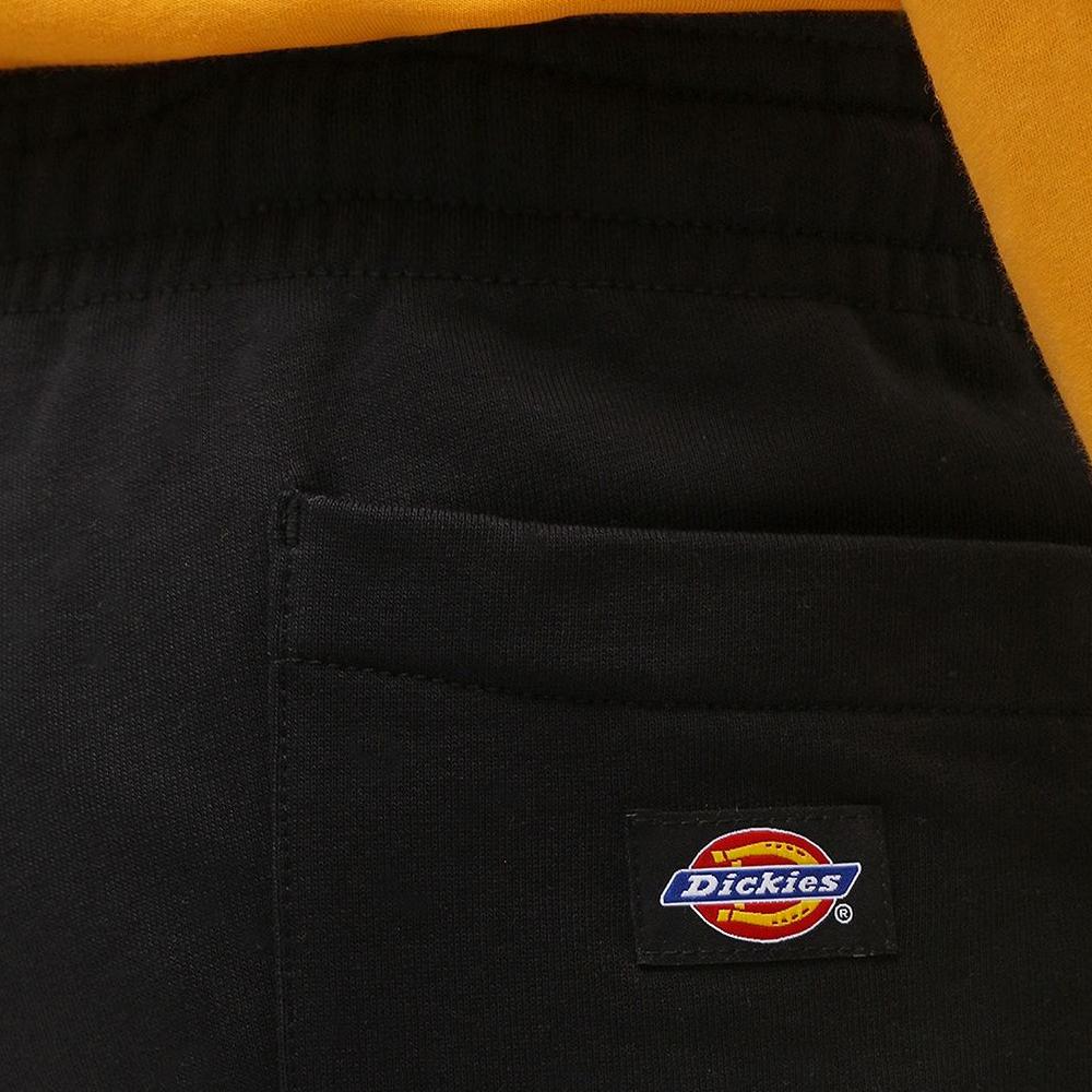 Dickies Champlin shorts black - Shop-Tetuan