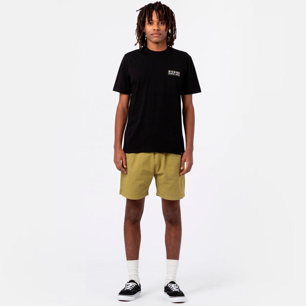 Dickies Pelican Rapids shorts green moss - Shop-Tetuan